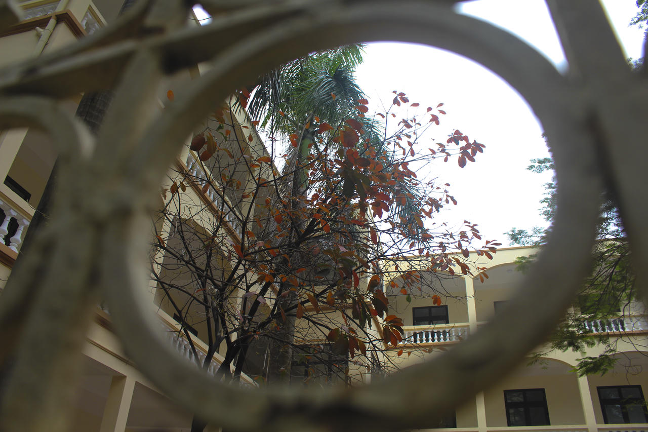 Giới trẻ nô nức check-in con đường lá vàng khuôn viên ĐH Sư Phạm